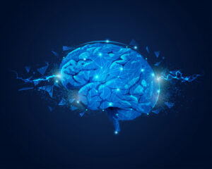 How the sensation of fear starts in our brain and then the brain spreads the message to all other parts of the body.