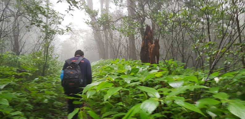 9 characteristics of people having naturalist intelligence - Naturalist - TDN Blog