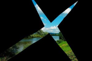 9 characteristics of people having naturalist intelligence - Great Pattern Recognizer