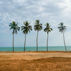 5 steps action plan to recognize your instinctive advantage - Recognize the 5 senses and 2 connective senses you use when performing those natural tendencies - TDN Blog