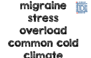 How mental blocks diminish productivity & how to recognize them - Reasons behind mental blocks - Think Different Nation