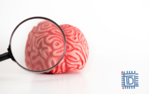 COVID-19 restrictions relaxed, how to resocialize - Brain-derived neurotrophic factor (BDNF) - Think Different Nation - Blog