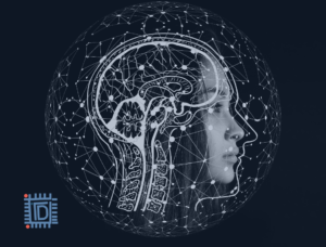 Marijuana actually boosts creativity if you know the art of directing your thoughts towards a target - Evolution of the human brain - Think Different Nation - New Blog