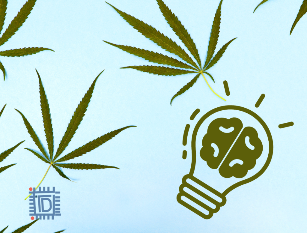 Does CBD boost creativity? What does neuroscientific research say?